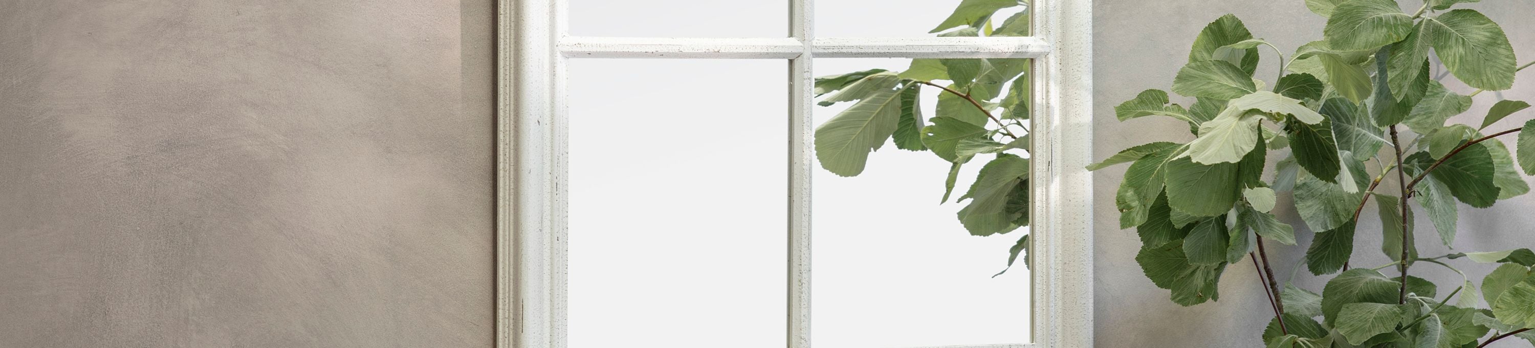 Window Mirrors