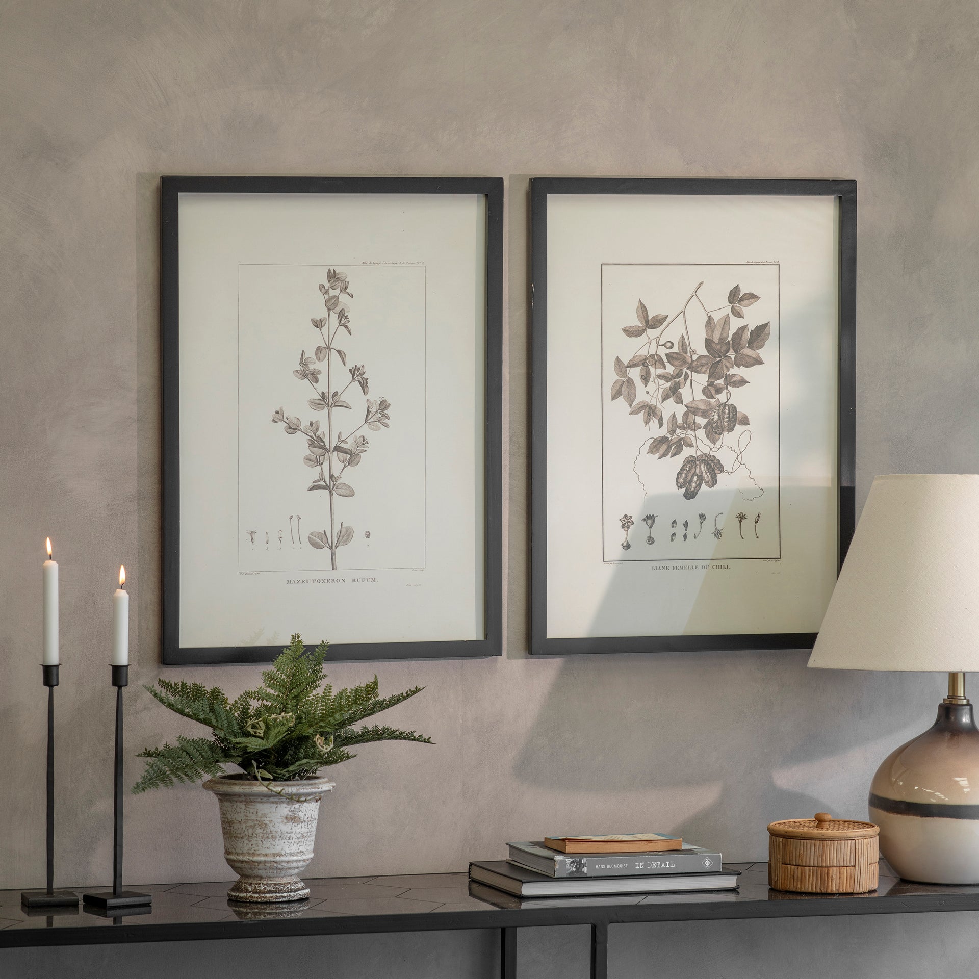 Ashmore Set 2 Rufum Chilli Framed Prints