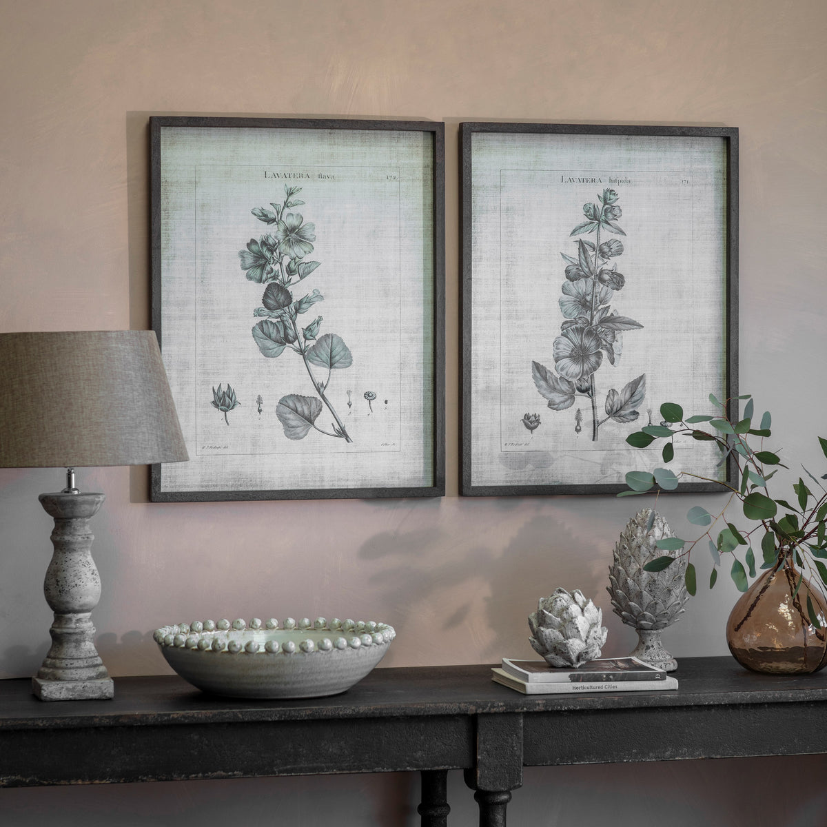 Ashmore Set 2 Lavatera Framed Prints