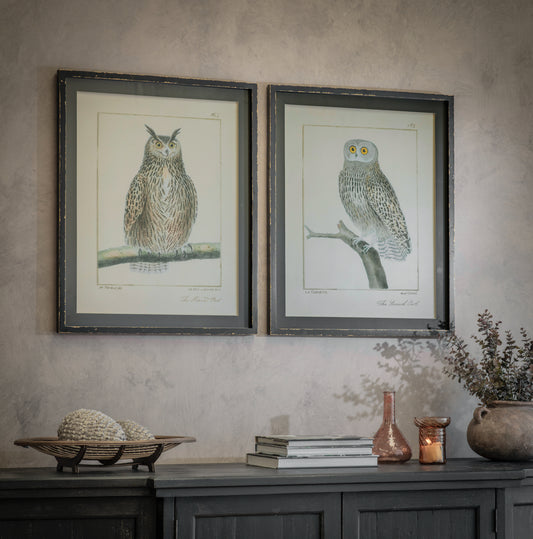 Moreton Set of 2 Owl Framed Prints