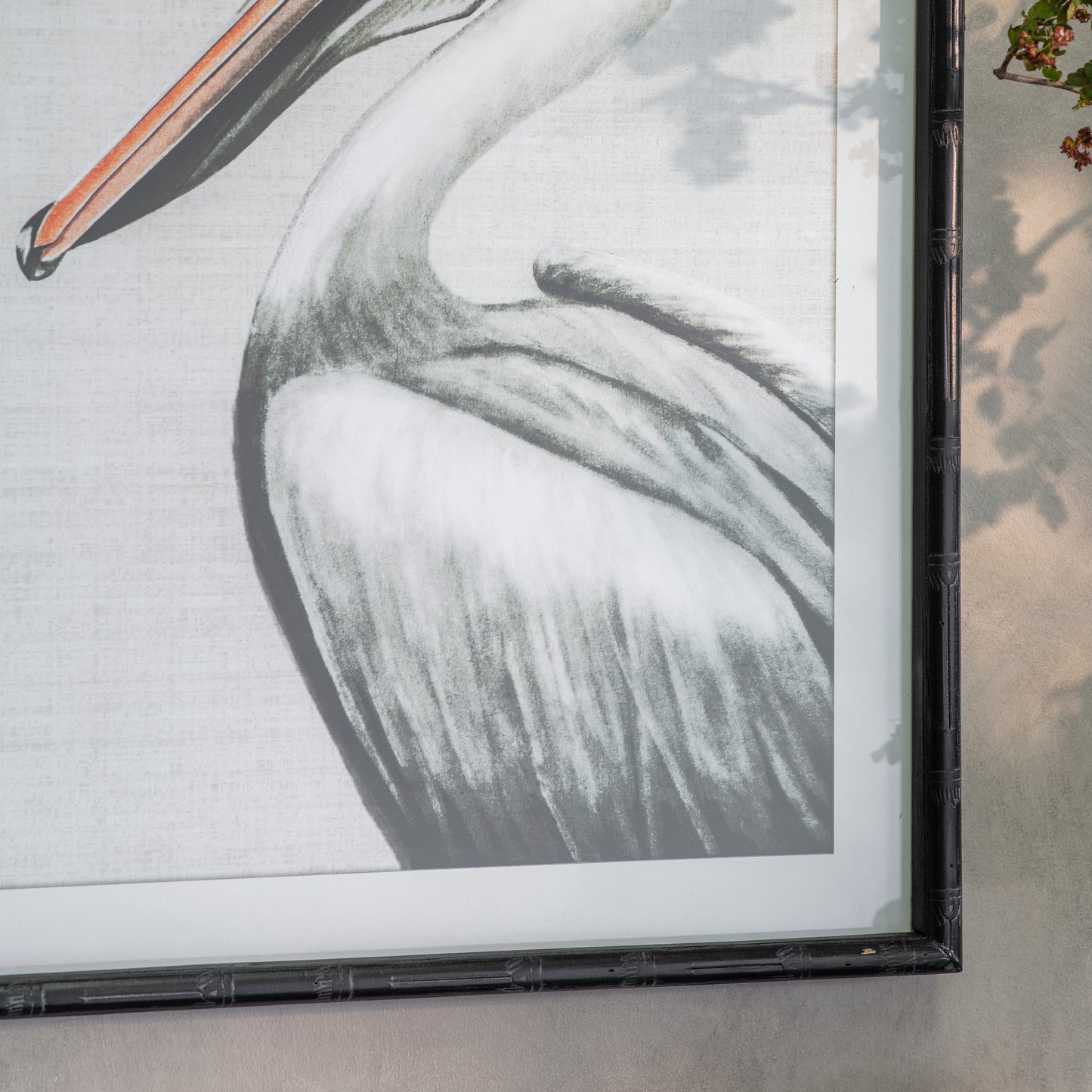 Moreton Set of 2 Pelican Framed Prints