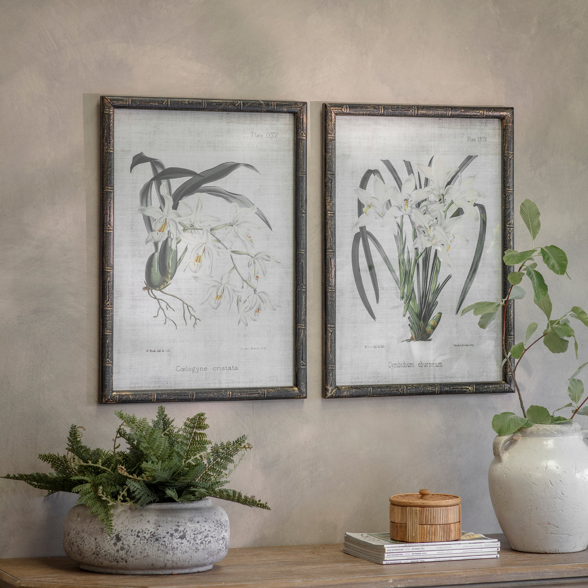 Ashmore Set 2 Orchid Framed Prints
