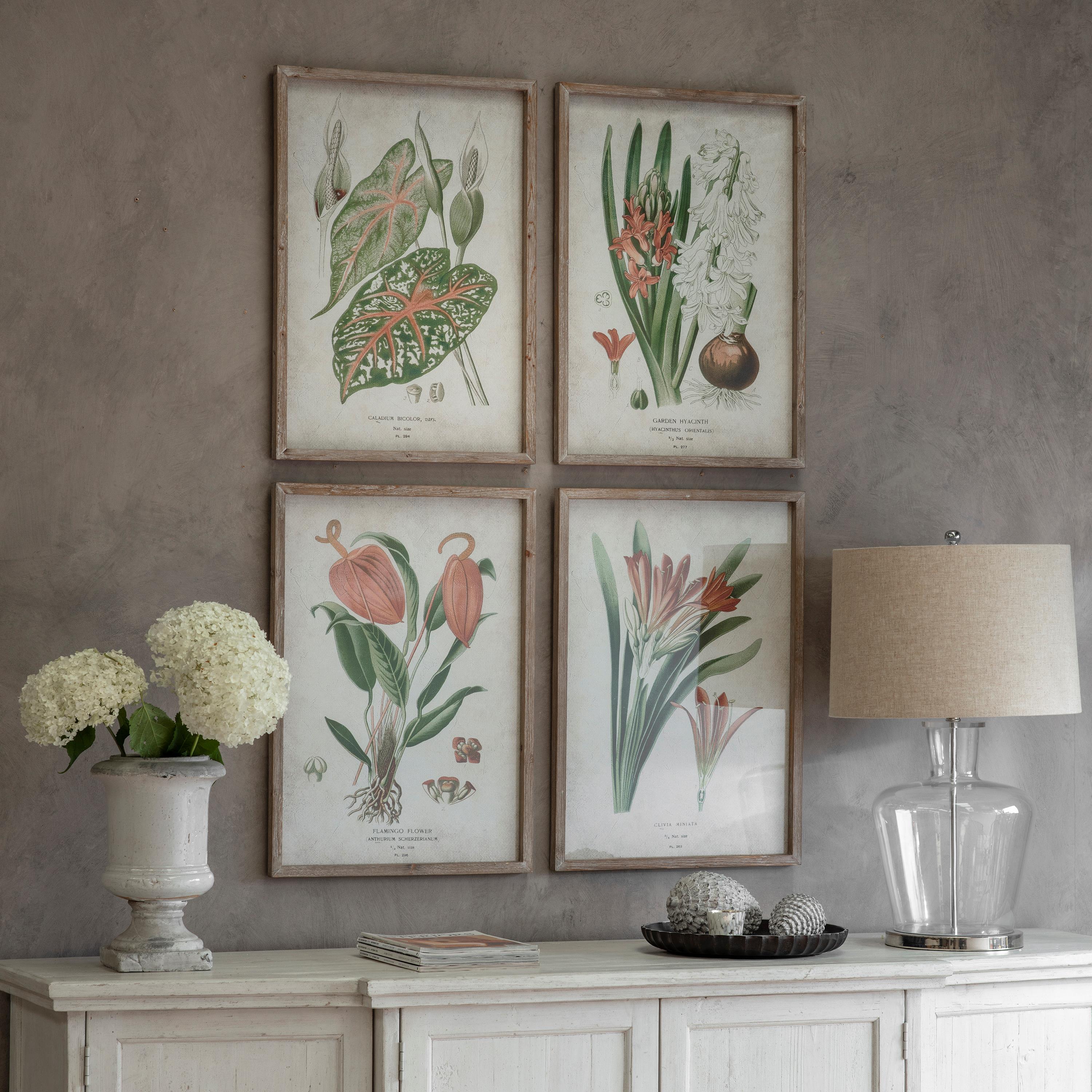 Ormington Set of 4 Botanical Framed Prints