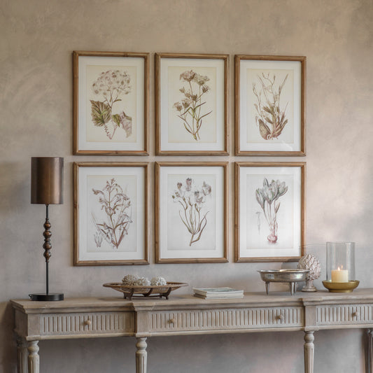 Ormington Set of 6 Lavender Framed Prints