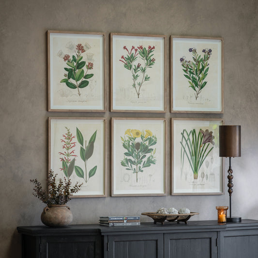 Ormington Set of 6 Wildflower Framed Prints