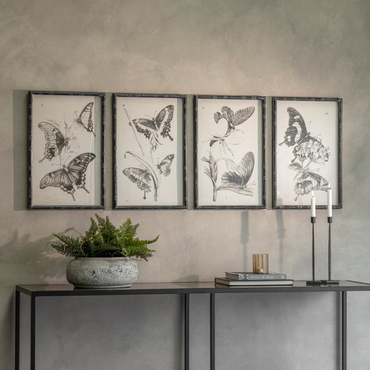 Woodstock Set of 4 Butterfly Framed Prints