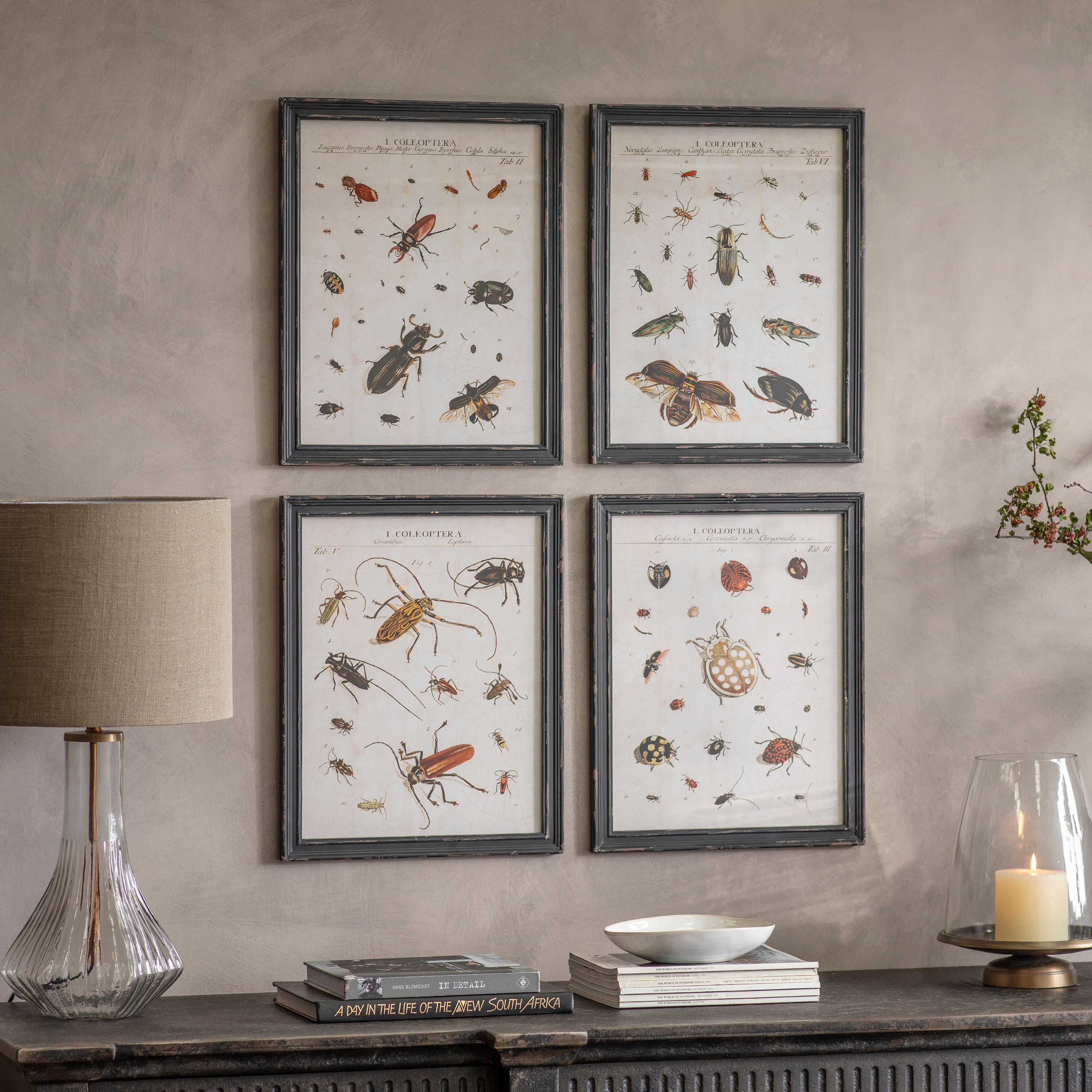 Woodstock Set of 4 Insect Framed PrintsARTFUL SAVINGS Wall Art SALE