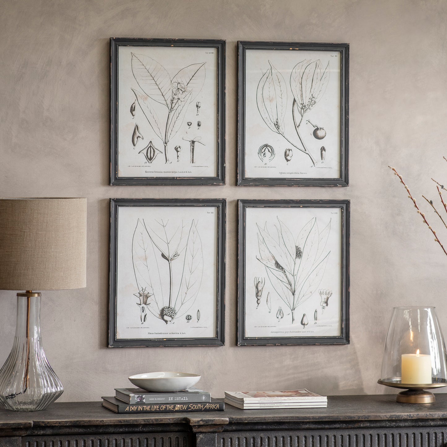 Ashmore Set of 4 Monochrome Botanical Framed Prints