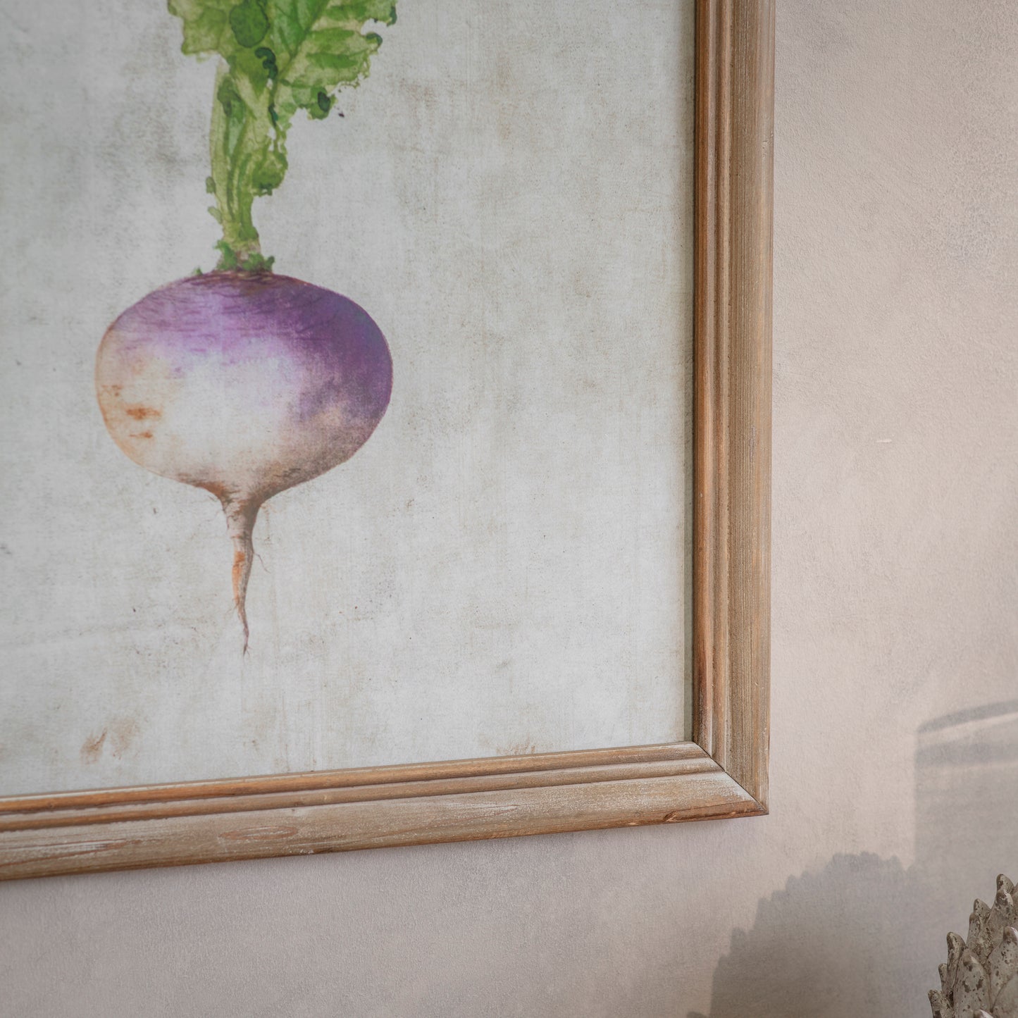 Croston Set of 4 Root Vegetable Framed Prints