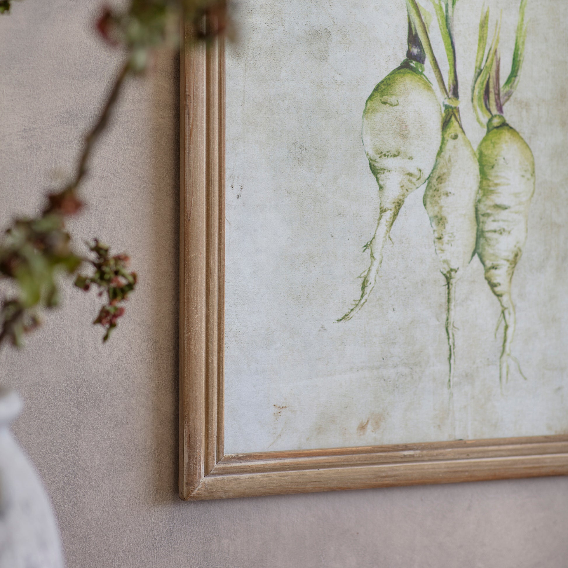 Croston Set of 4 Root Vegetable Framed Prints