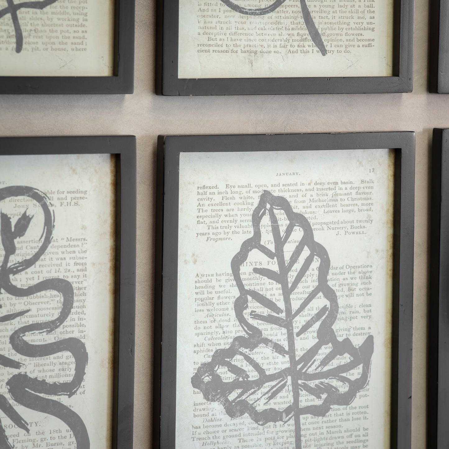 Newport Set of 2 Leaf Framed Prints