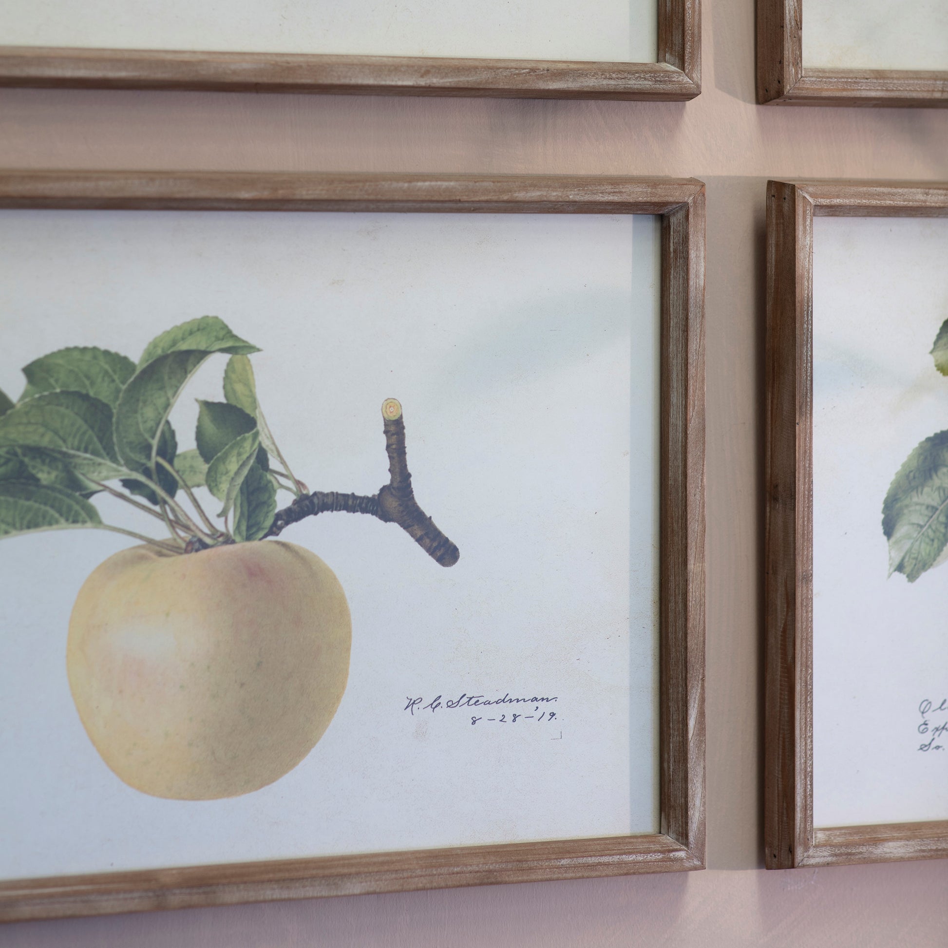 Brookby Set of 4 Apple Wall Art