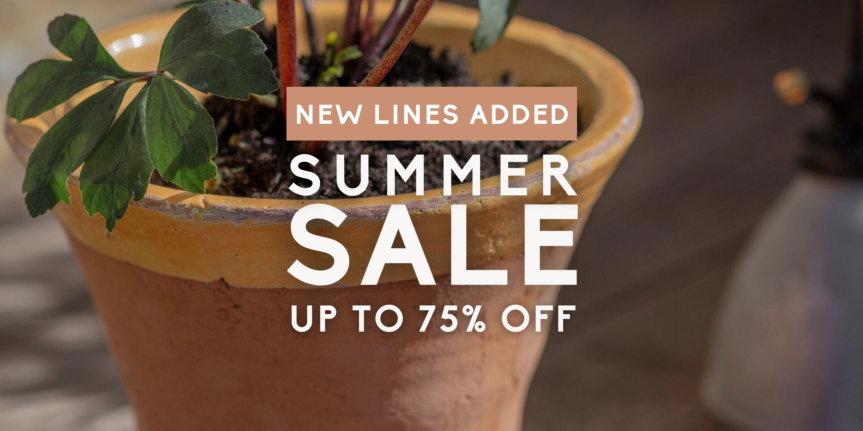 SALE JUST GOT BETTER