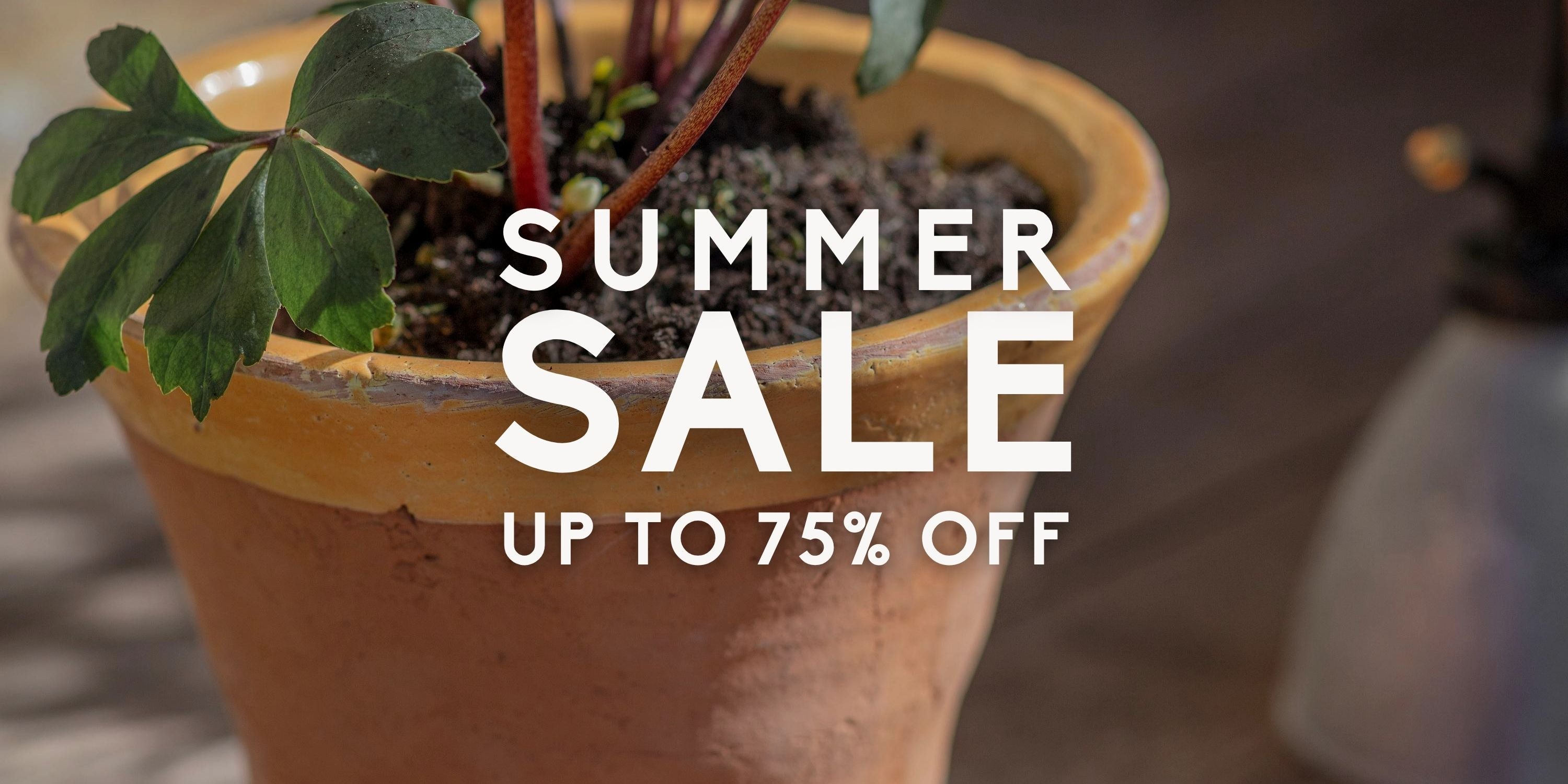 SAVE ON STYLE