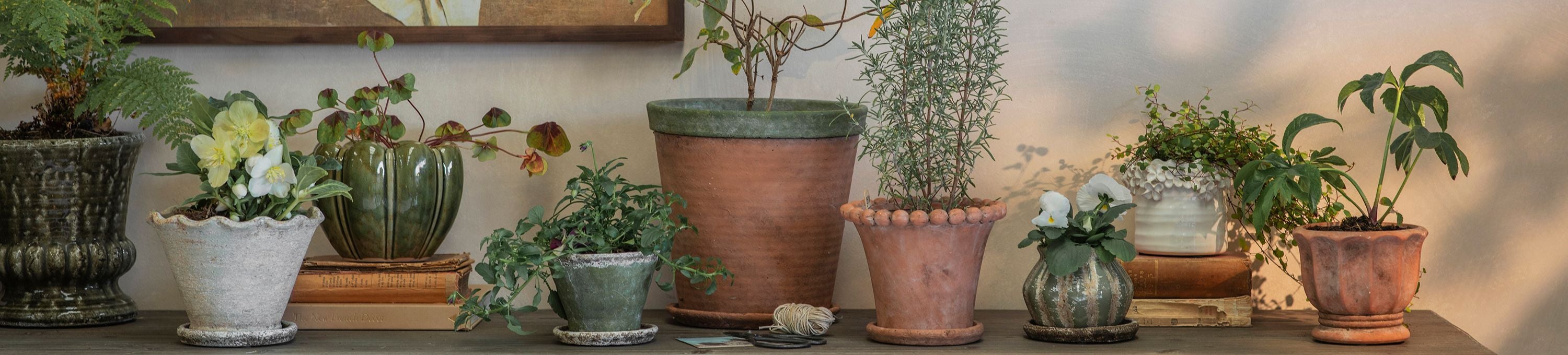 Pots & Planters