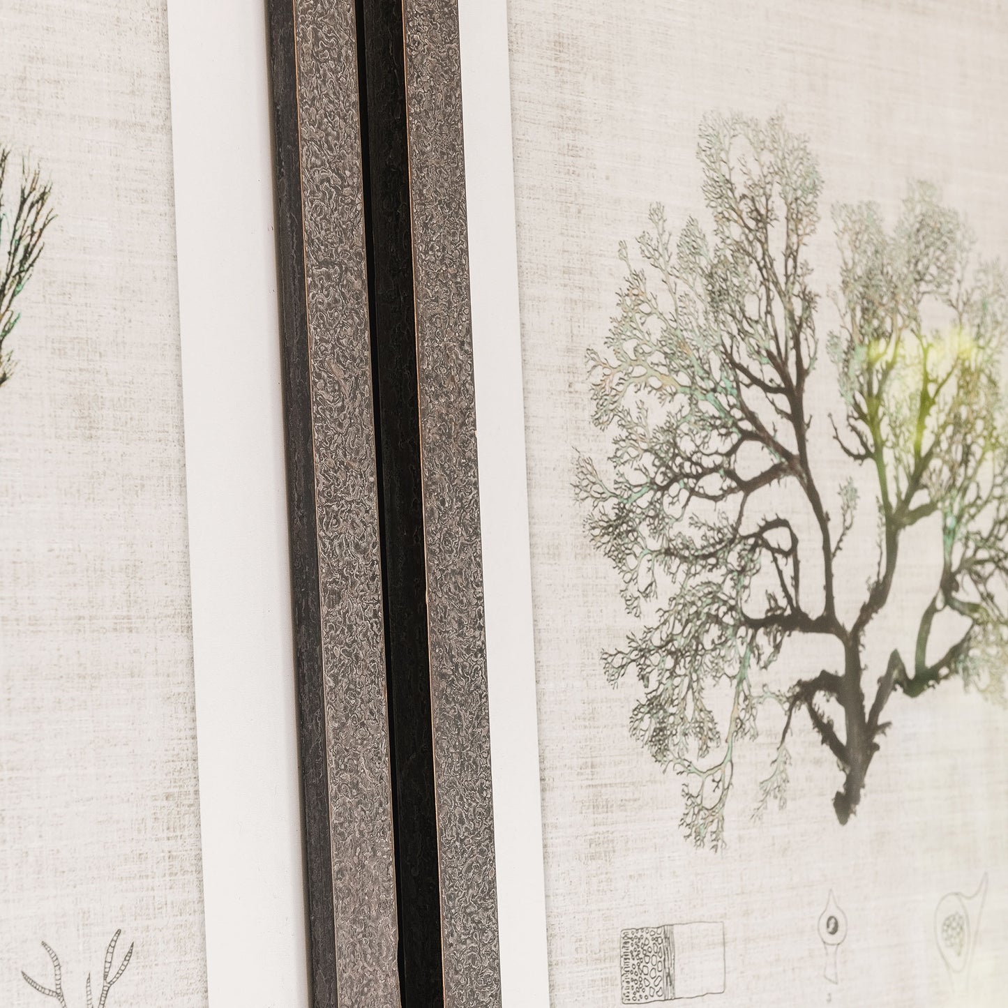Ormington Set of 3 Botanical Framed Prints