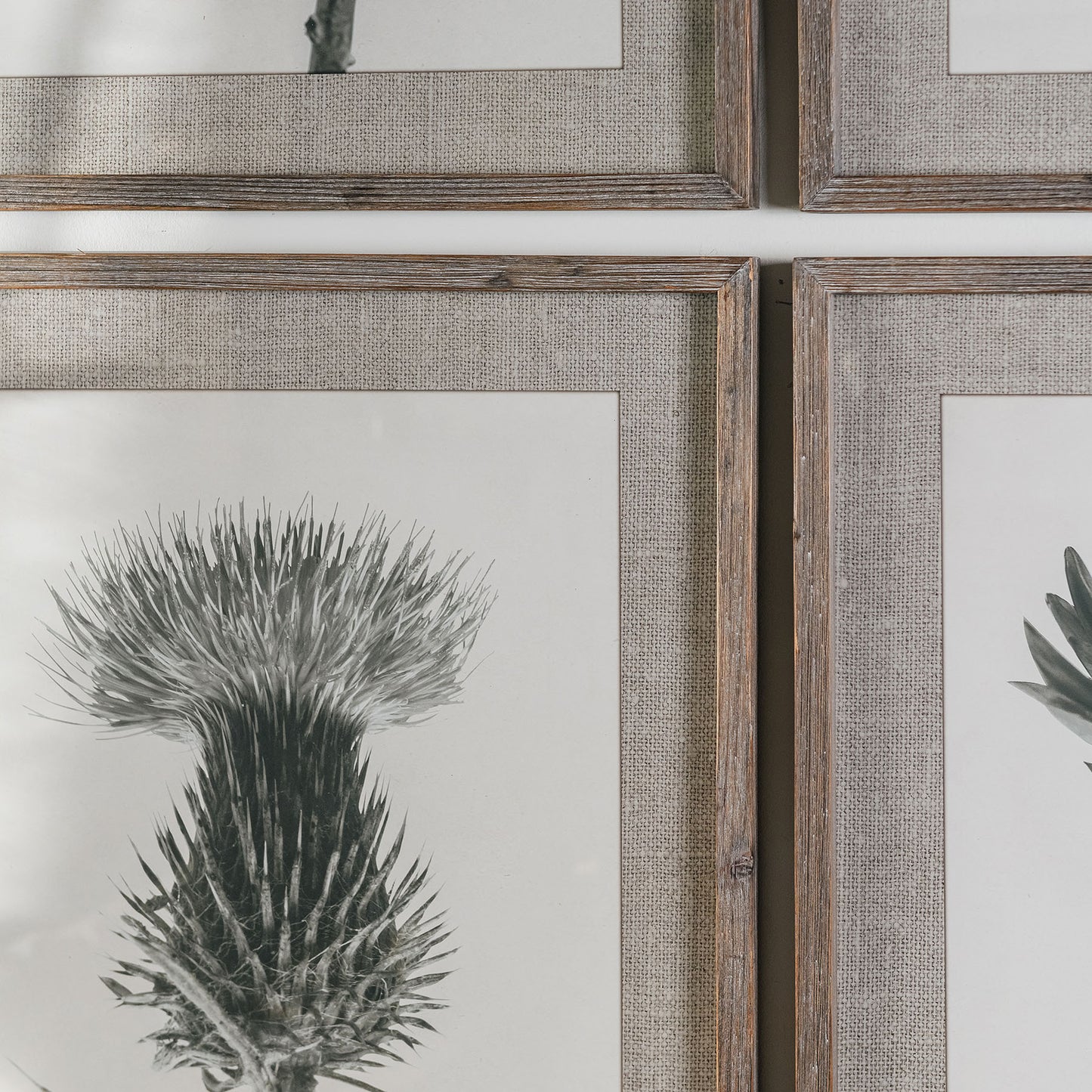 Ormington Set of 4 Poppy Framed Prints
