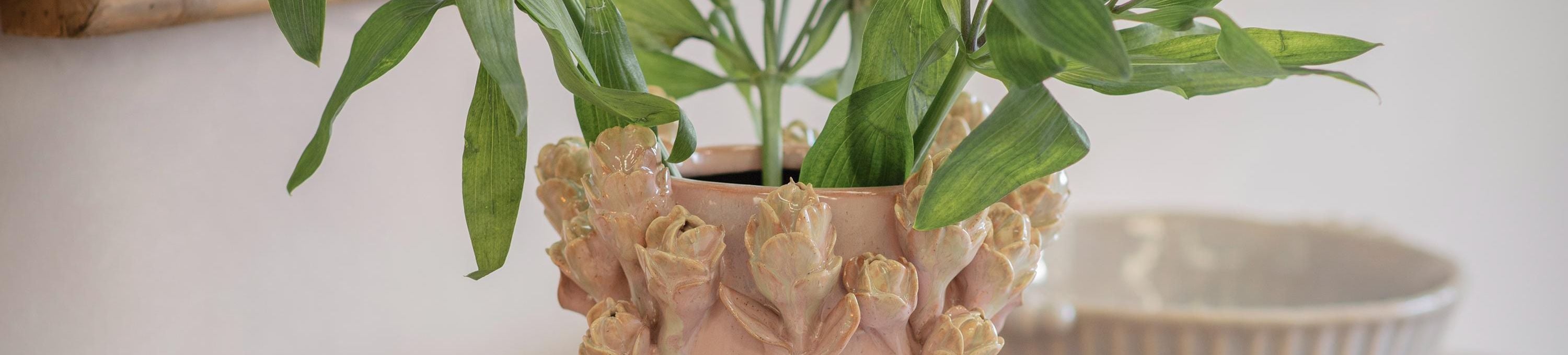 The Lulworth Collection