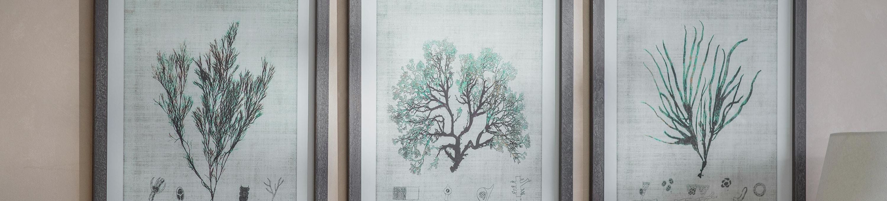 The Ormington Collection