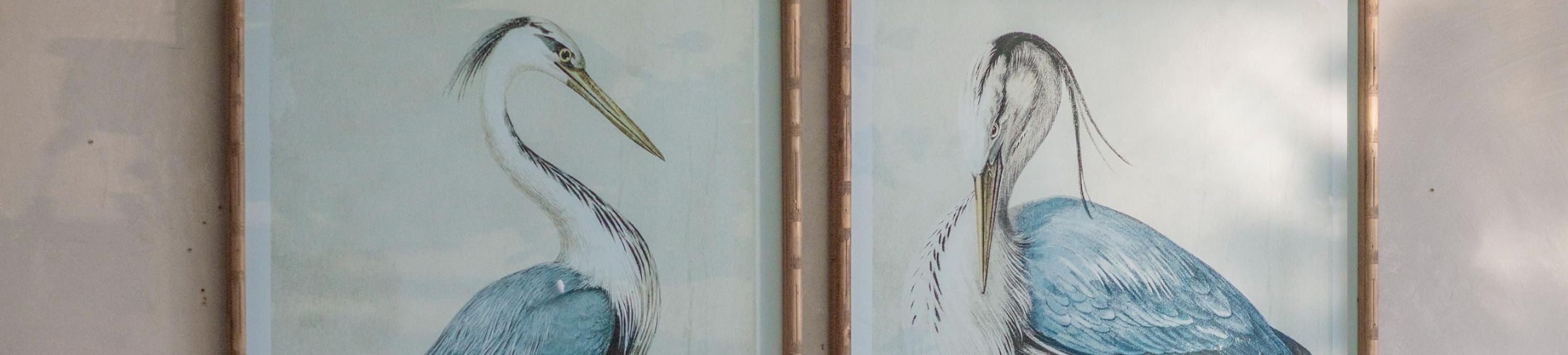 Wildlife Wall Art